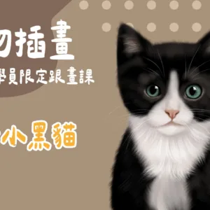 賓士小黑貓
