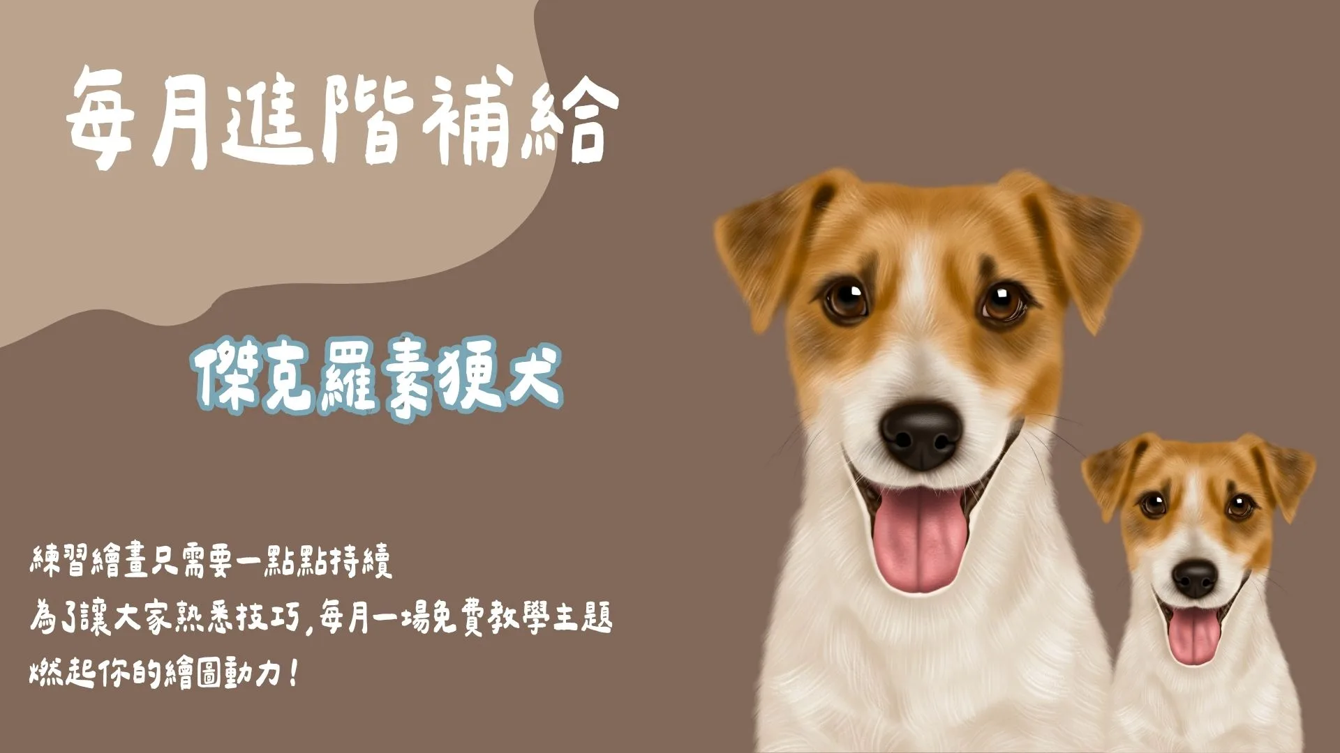 每月進階補給-傑克羅素㹴犬