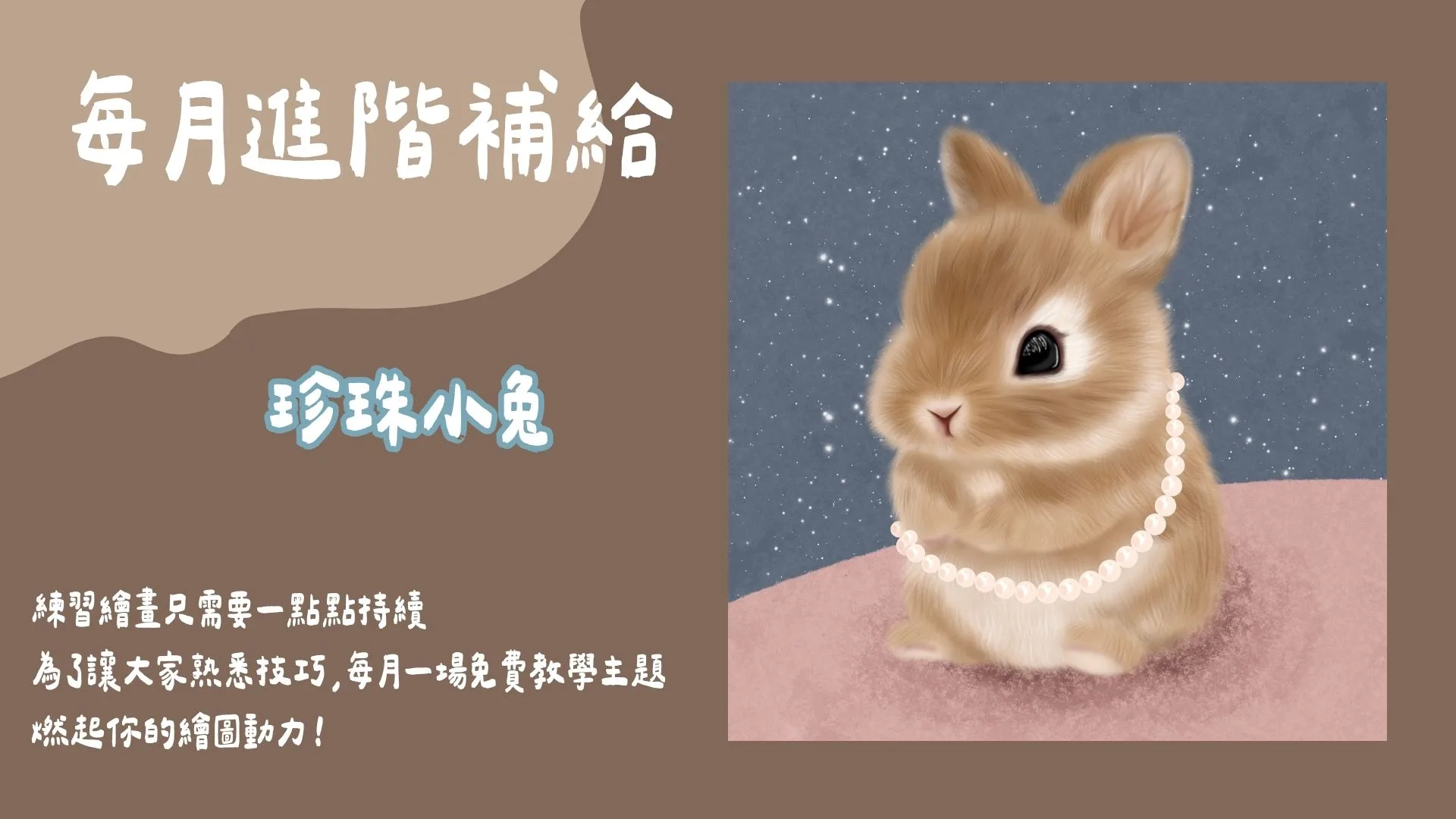 每月進階補給-珍珠小兔