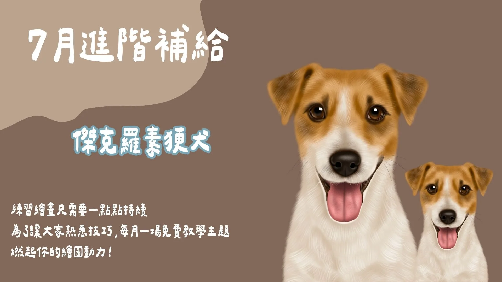 7月進階補給-傑克羅素㹴犬
